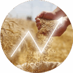 Recurso-10@2x-150x150